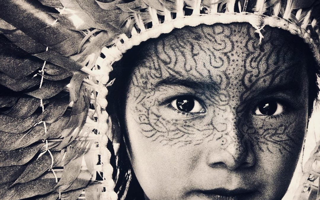 Exposition Amazonia à Avignon