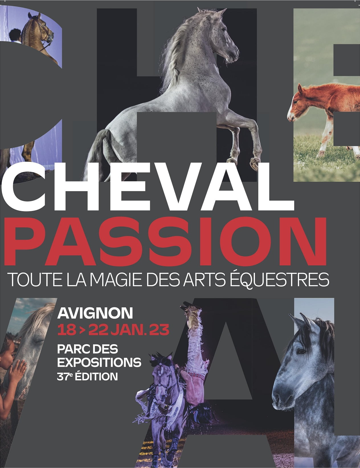 CHEVAL PASSION